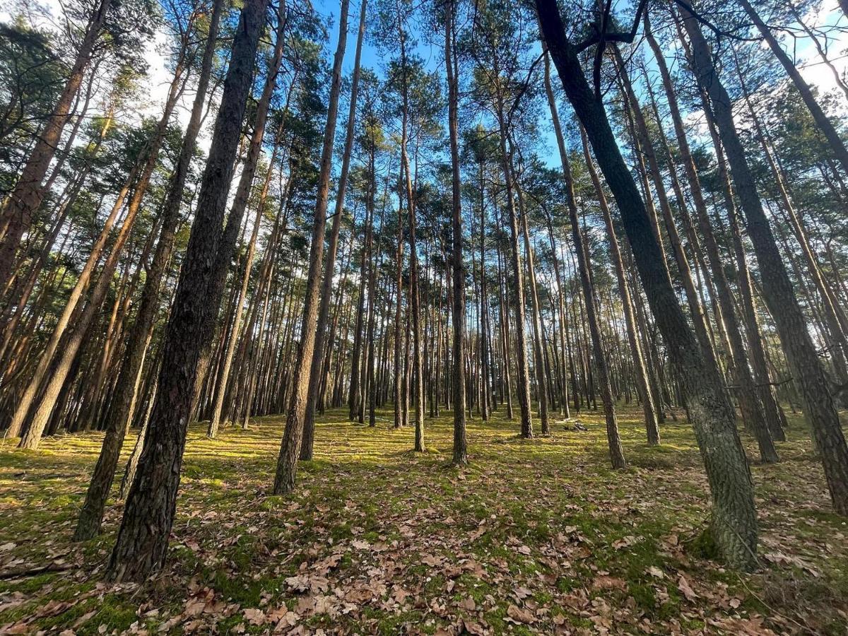 Park Rekreacyjno-Biznesowy Las Woda Wilga Extérieur photo