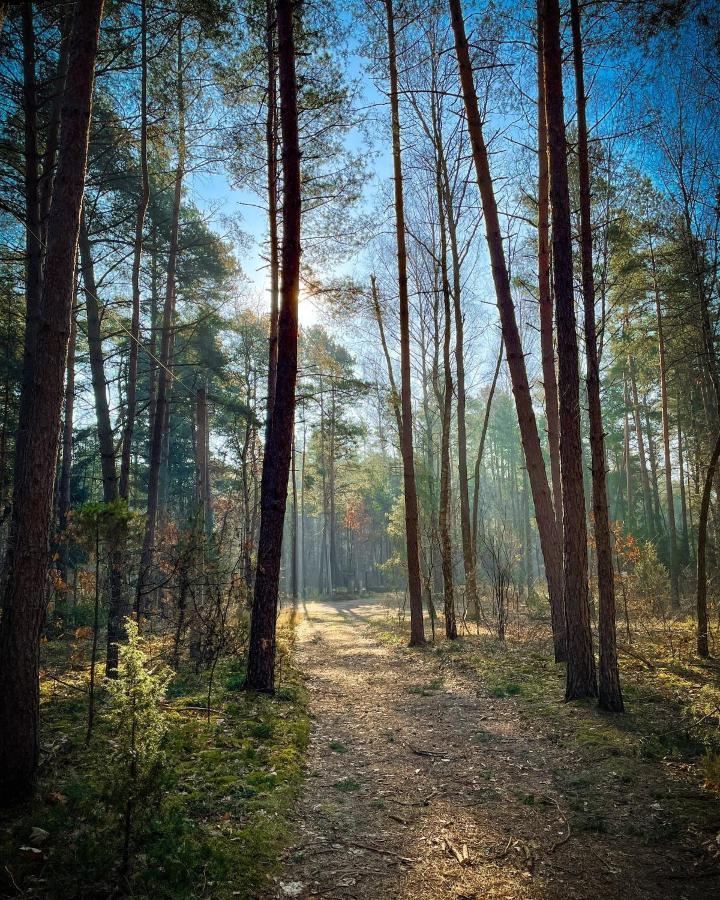 Park Rekreacyjno-Biznesowy Las Woda Wilga Extérieur photo
