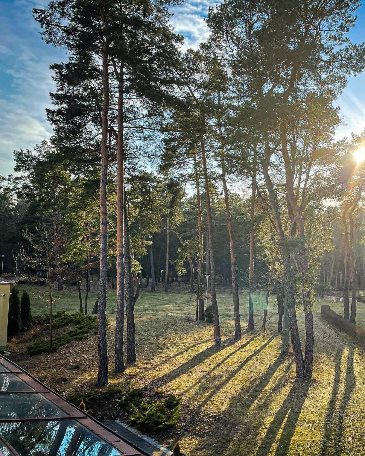 Park Rekreacyjno-Biznesowy Las Woda Wilga Extérieur photo